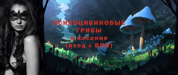 jwh Горняк