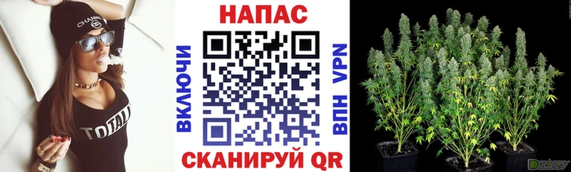 Купить закладки  Апрелевка  МАРИХУАНА VHQ 